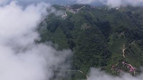 Clouds and Forest Aerial