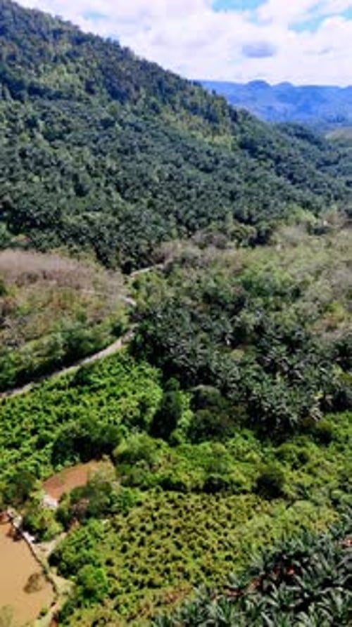 Picturesque green scenery of a tropical nature. Rocky wild landscape of Sri Lanka