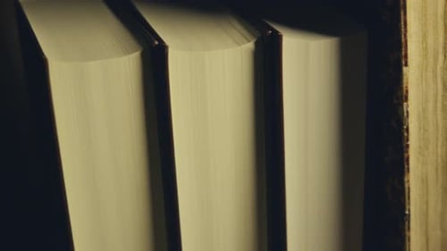 Row of Old Hardcover Books in Dim Light