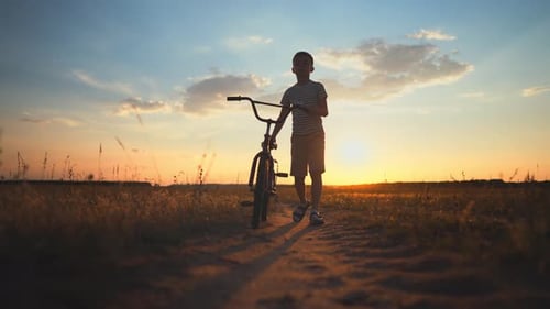 Little Boy Rolling Bike Next to Him in Field in Summer Backlit Silhouette Summertime in Countryside