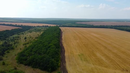 Wheat Fields Aerial View
