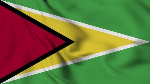 Realistic Waving Guyana Flag Loop Animation