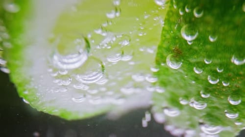 Close-Up of Refreshing Lime Slices in Water