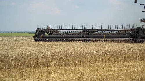 Working process of a combine harvester on the wheat field, 4k