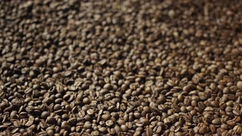 Roasted Coffee Beans Mixing with Metal Arm