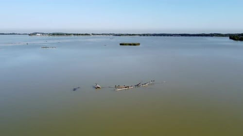 Great cormorants and flying seagull across Danube river