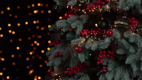 Beautiful green branches of winter fir tree with magic holiday lights of Christmas garlands.