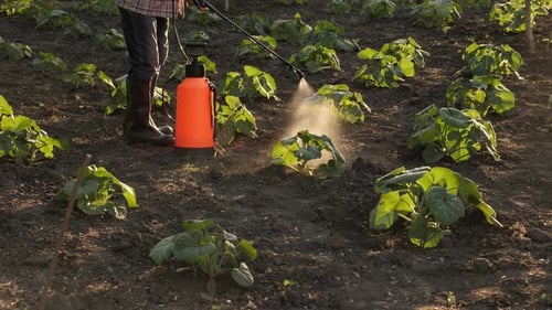 Farmer Spraying Pesticide Sprayer Garden Farm Vegetable Garden Spraying Crop Protection Plant Field