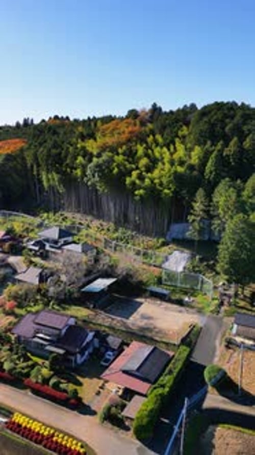 Aerial view of traditional Japanese village with lush greenery, Japan.