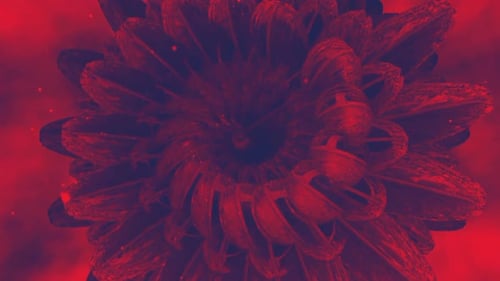 Abstract Red Organic Form Rotating Background Loop