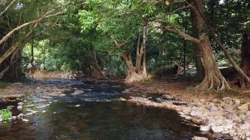 water flowing downstream in super slow motion on a Queensland freshwater creek