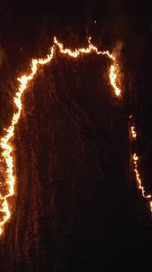 Flaming grass at nighttime in forest. Drone view of burning dry grass. Forest fire at dusk.