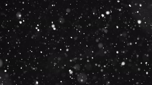 Falling Snow Particles on Dark Background for Compositing