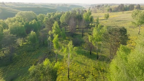 Park Hill Green View Garden Landscape Summer Mountains Plant