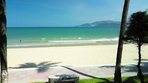 Coconut Palm Trees Up View Green Palm Tree on Blue Sky Background View of Palm Trees Against Sky