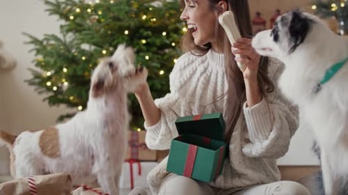 Woman Giving Christmas Gifts to Happy Dogs
