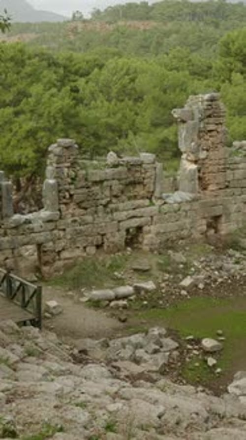 Vidéo verticale. Panorama de l'amphithéâtre dans la forêt, l'ancienne ville lycienne de
Phaselis.