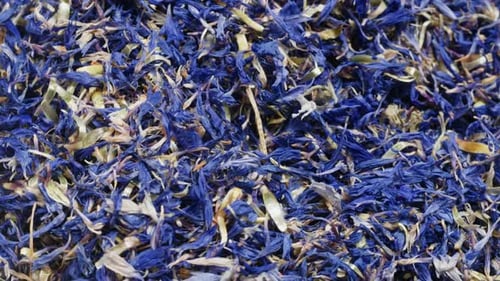 Dried Blue Flower Petals Close Up Texture