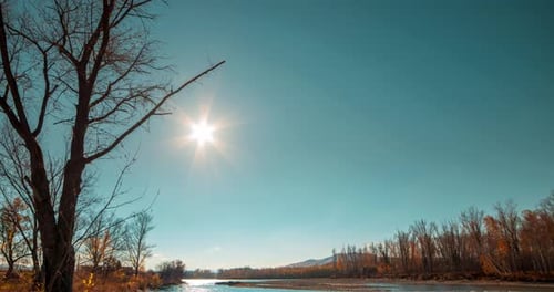 Mountain River Timelapse at the Summer or Autumn Day Time Wild Nature Clear Blue Water and Dry Trees