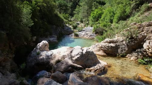 River with colorful green waters. River with crystal clear waters. Aerial view at water level. Green