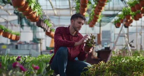 Man Tending Plants in Greenhouse Garden