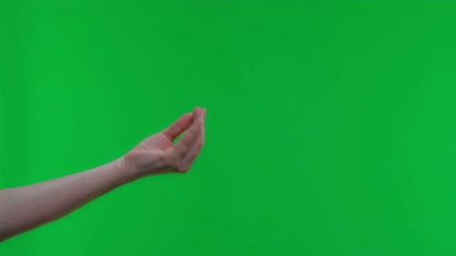 Hand Gesturing on Green Screen Background