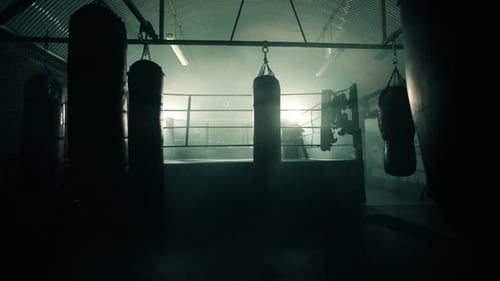 Boxer Training in Boxing Ring with Punching Bags