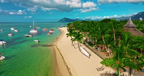 Aerial View of Beach with Palm Trees and Perfect Turquoise Sea Water Relaxing and Exotic Drone View