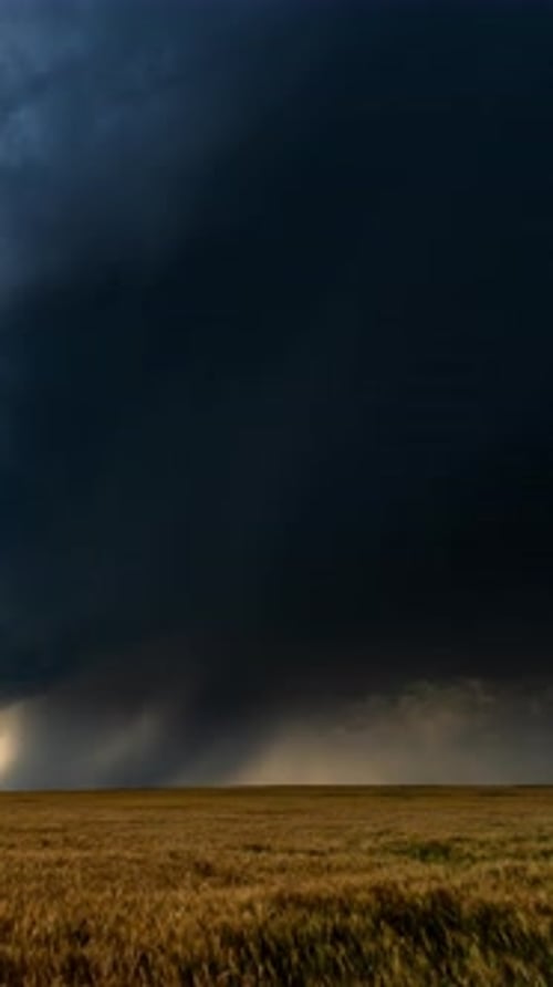 Dramatic Storm Clouds Over a Golden Wheat Field