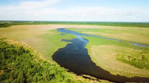 Nature Of Dobeevskoye Lake 04