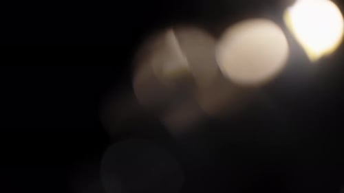 Ethereal and Serene Blurred Bokeh of Sunlit Natural Foliage on Dark Background