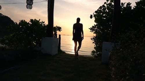 Woman Walking in Garden During Sunset, Super 240