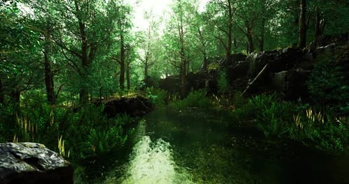 Lush Green Forest with a Serene Pond Reflecting Sunlight and Trees