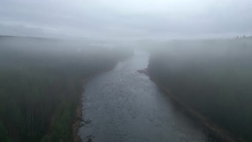 A river covered in low clouds flowing through the forest with mountains in the background on a cloud
