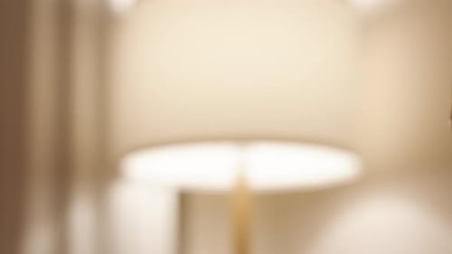 People Toasting Drinks in Close Up Shot