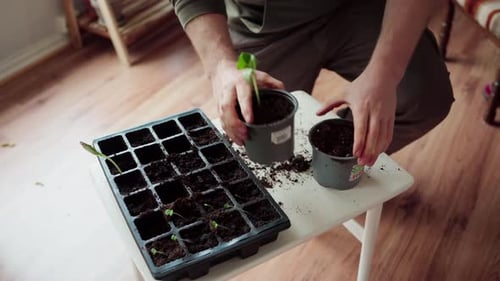Man Making Hole On Soil In The Pot For Seedling. - close up shot