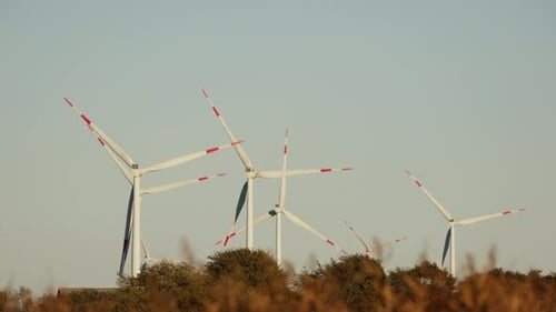 Wind Turbines Amidst Blue Skies And Trees