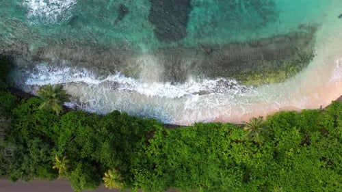 Drone footage of white sandy beach, trees near the beach, turquoise water near the road, passing veh