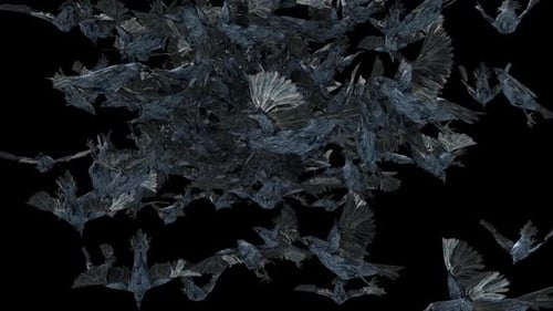 Swarm of Dark Birds Flying Across Screen