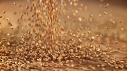 Quinoa Seeds Falling on Wooden Surface, Superfood Ingredient
