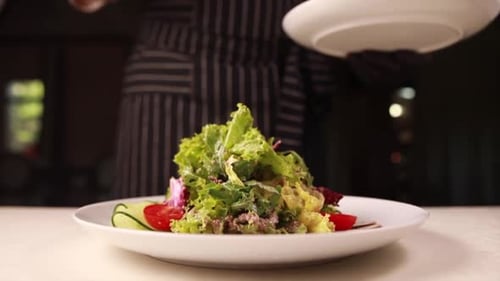 Chef Prepares Green Salad in Restaurant Kitchen