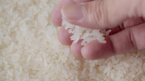 Hand picking uncooked rice grains from a pile. Close up, Food Stock ...
