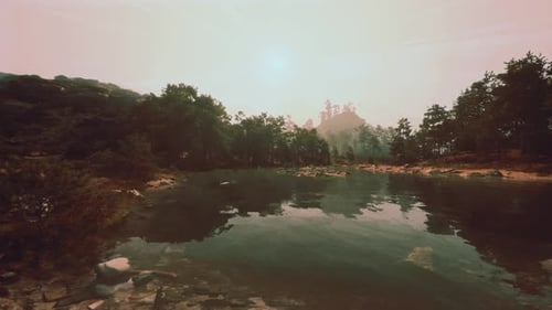 Peaceful Forest Lake with Subtle Water Animation