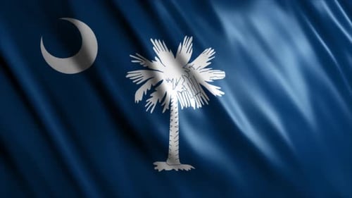 Waving South Carolina State Flag Realistic Animation