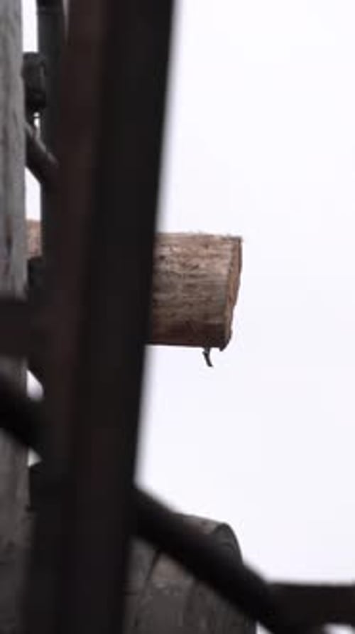 Procesamiento industrial de madera, corte de troncos de madera, primer plano