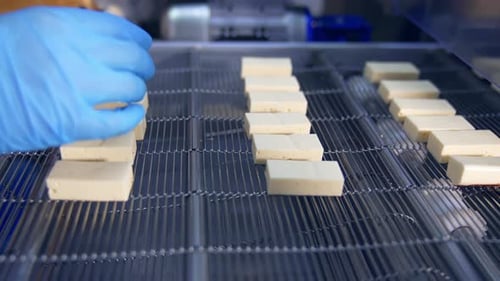 Tasty sweet candies on conveyor. Delicious factory making deserts.