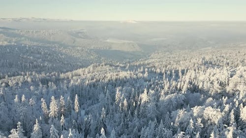 Aerial View of a Fairytale Frosty Mountain Forest Landscape