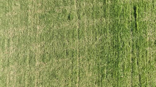 aerial view of grass texture above ground