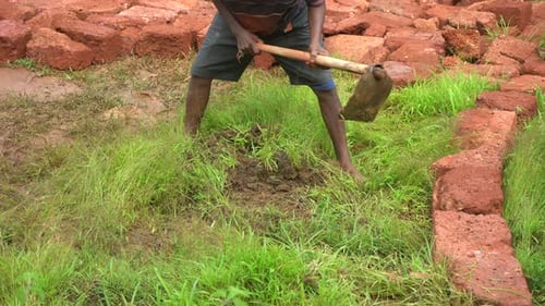 digging over the grass for road construction