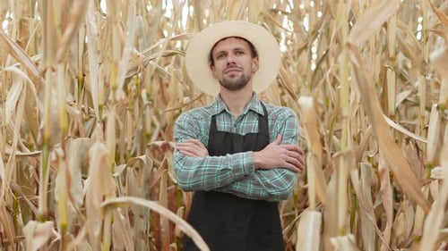 Portrait of Male Farmer in Hat Folding His Hands in Front of Him in Corn Field